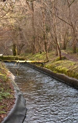 Canal-de-riego