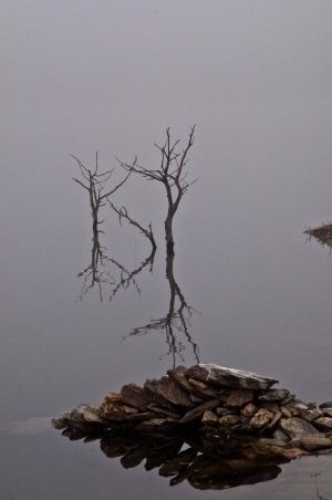 Reflejo-simple