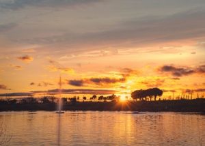 Atardecer-en-la-charca