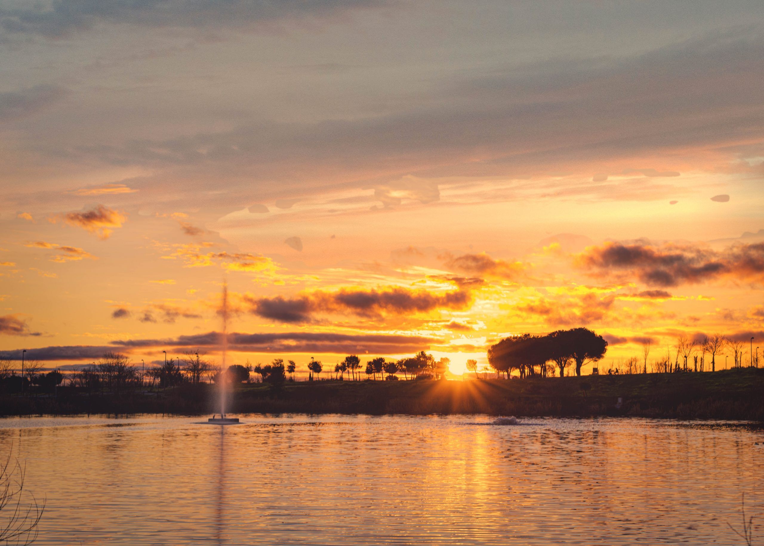 Atardecer-en -las-charcas